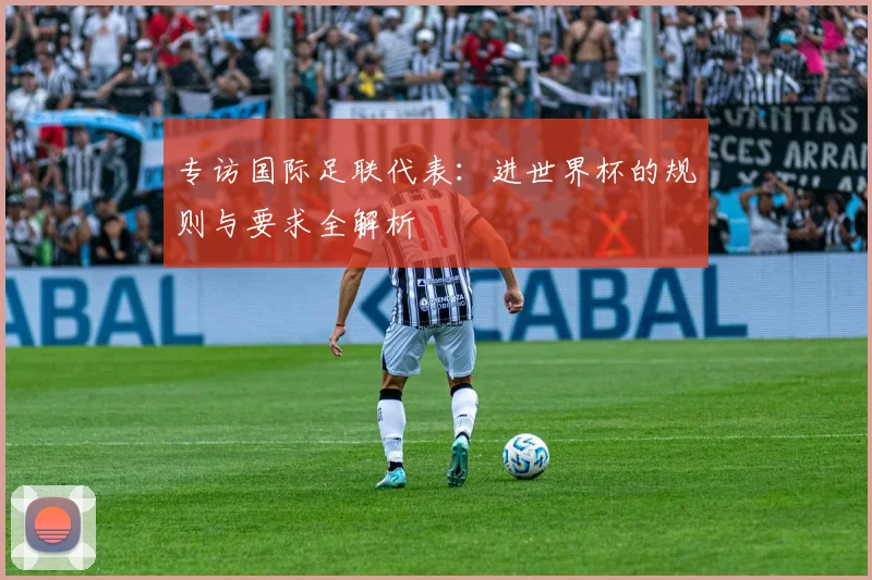 专访国际足联代表：进世界杯的规则与要求全解析