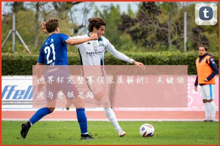 世界杯完整赛程深度解析：关键场次与晋级之路
